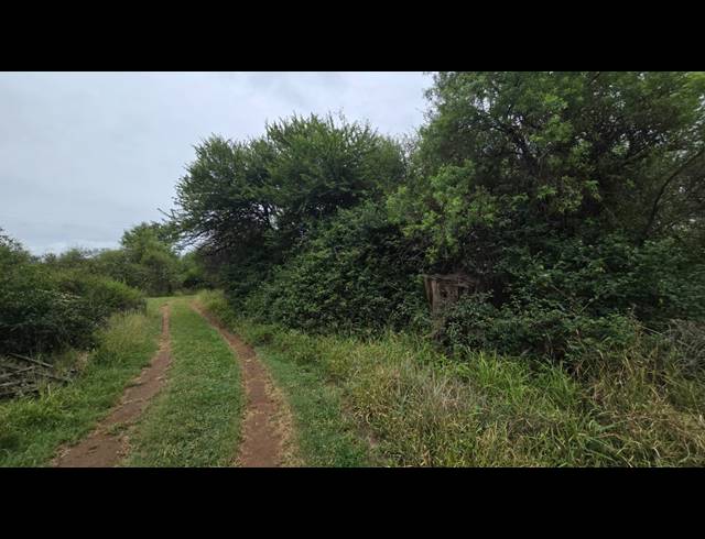 8.50HA SMALLHOLDING FOR SALE IN BELA BELA RURAL